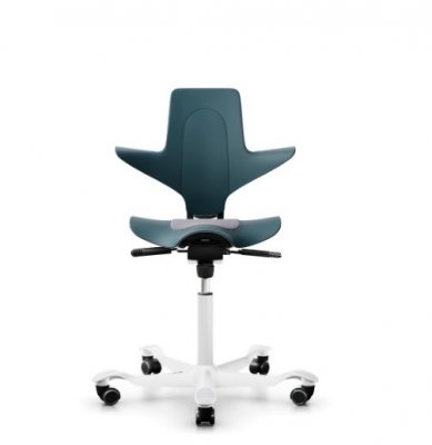 färg capisco Puls ergonomisk sadelstol