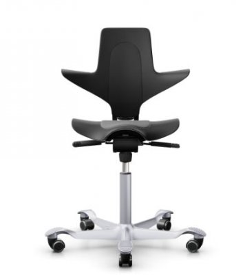 färg capisco Puls ergonomisk sadelstol