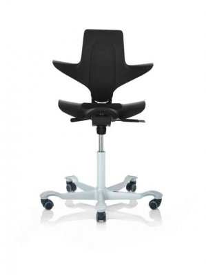 färg capisco Puls ergonomisk sadelstol